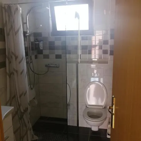 Miocev *
